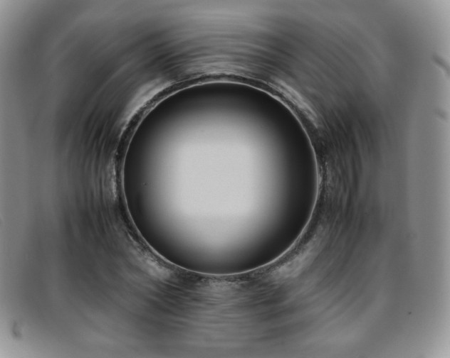 X0000096670782200802051222