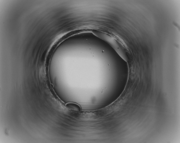 X0000096670784200802051222
