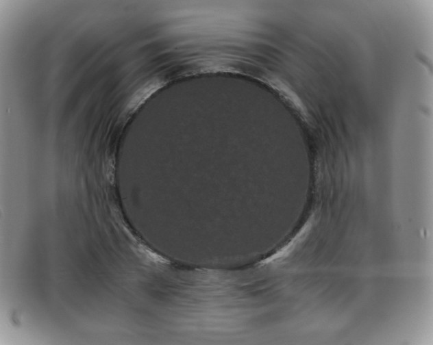 X0000096670785200802051222