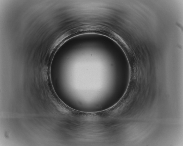 X0000096670786200802051222
