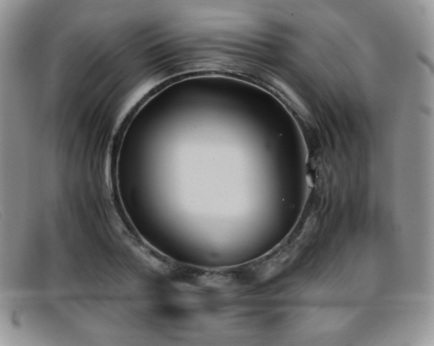 X0000096670788200802051221