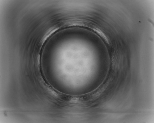 X0000096670790200802051221
