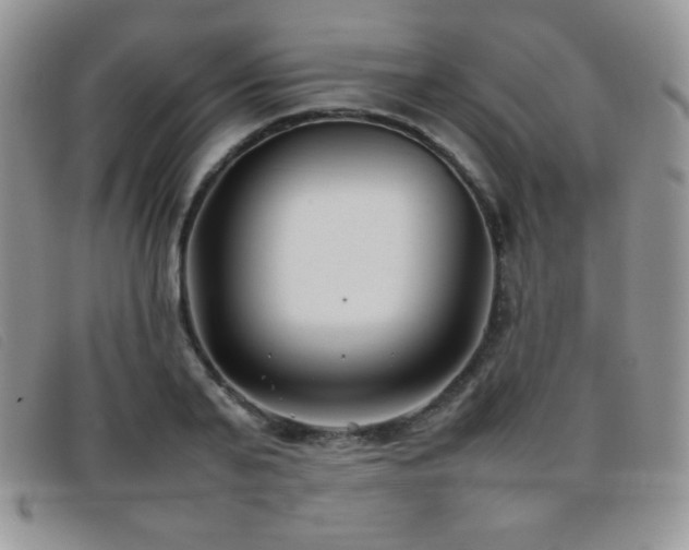 X0000096670791200802051221