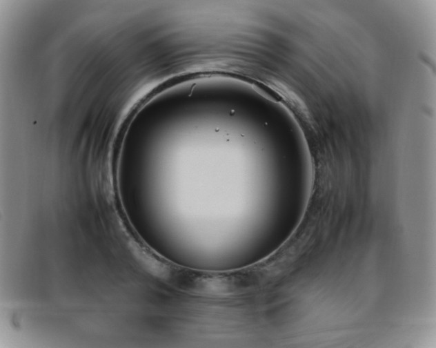 X0000096670792200802051221