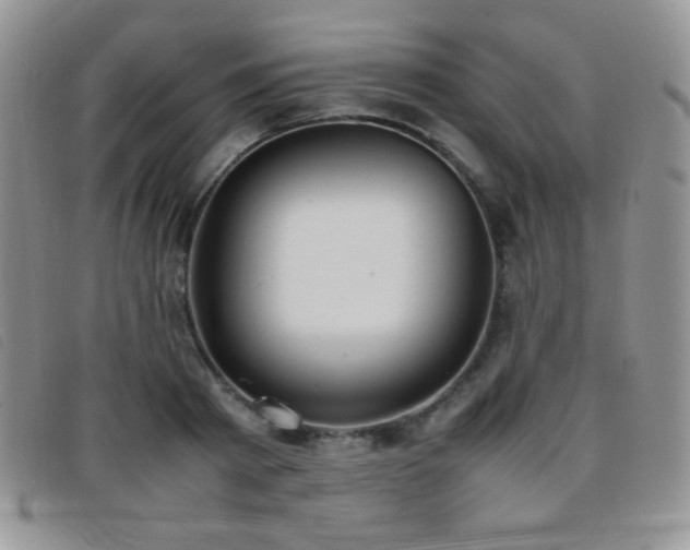 X0000096670793200802051221