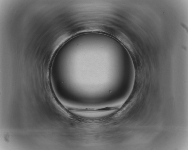 X0000096670797200802051221
