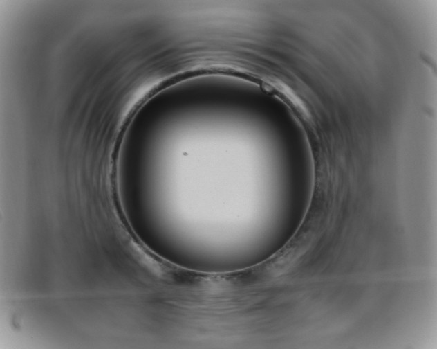X0000096670799200802051221