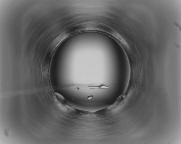 X0000096670801200802051221
