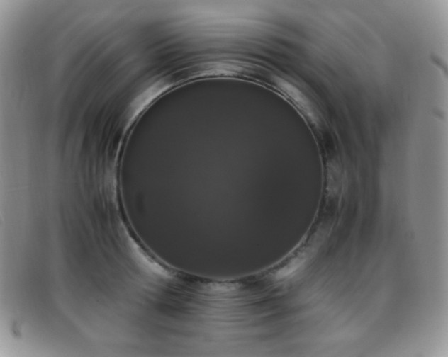 X0000096670802200802051221