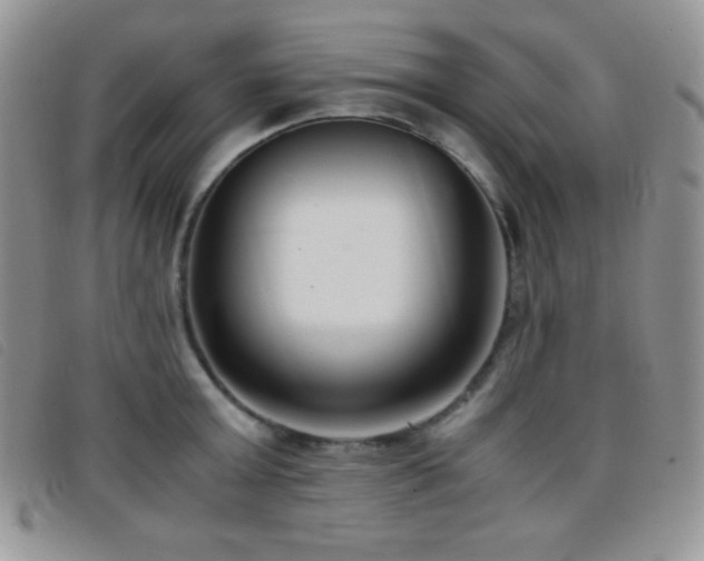 X0000096670803200802051221