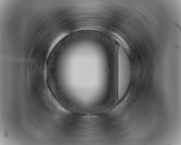 X0000096670804200802051221