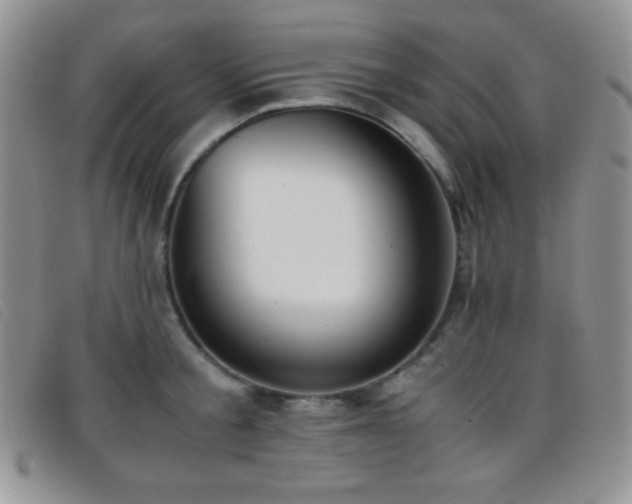 X0000096670805200802051221