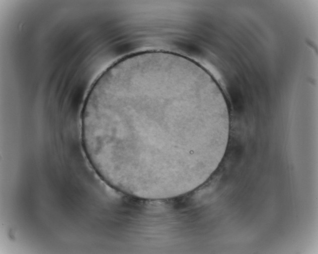 X0000096670807200802051221