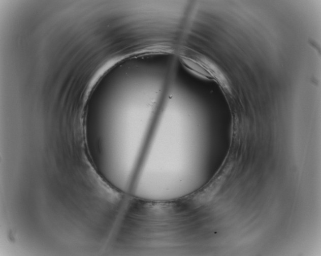 X0000096670808200802051221