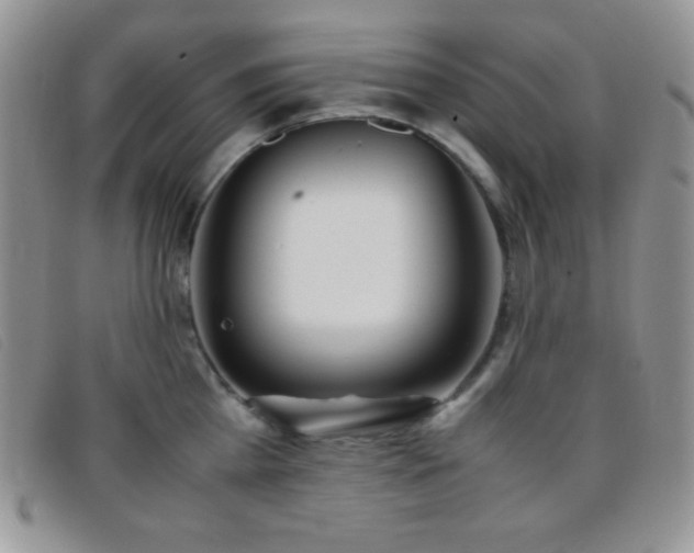 X0000096670809200802051221
