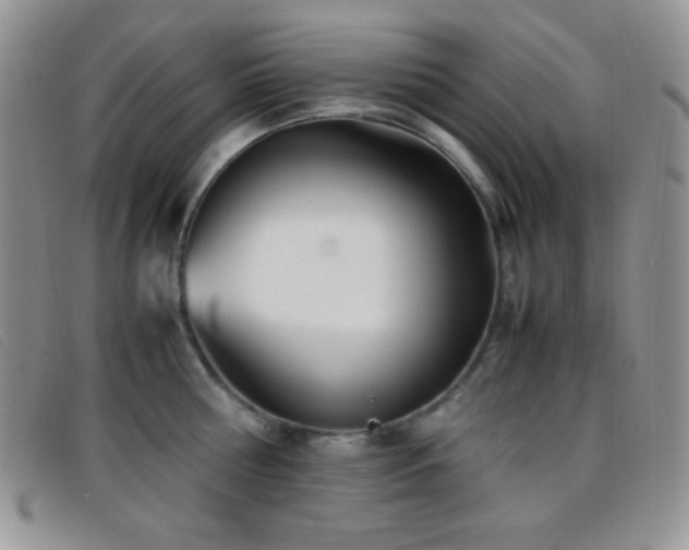 X0000096670810200802051221