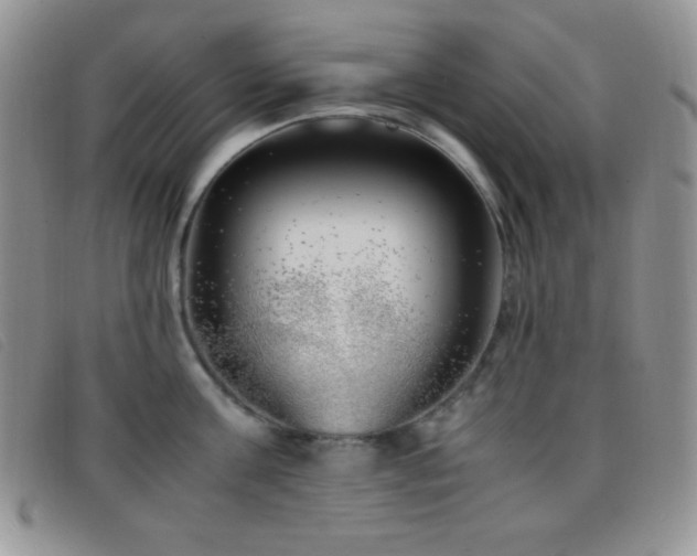 X0000096670811200802051221