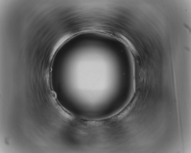 X0000096670812200802051221