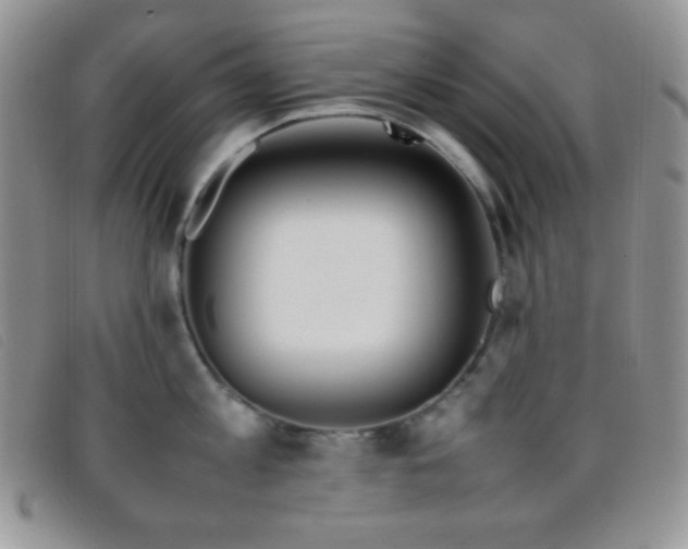 X0000096670813200802051221