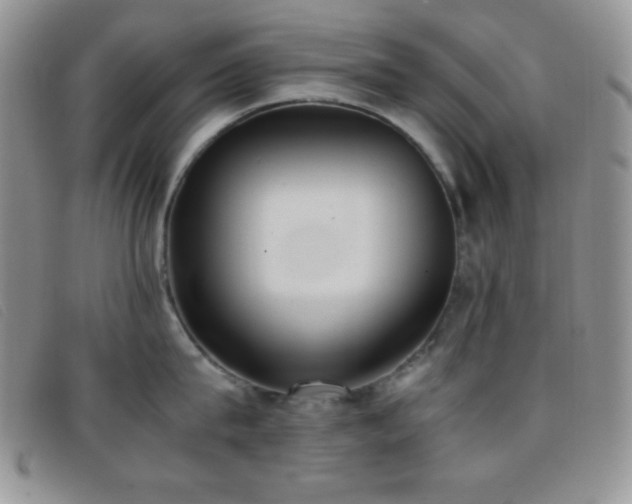 X0000096670815200802051221