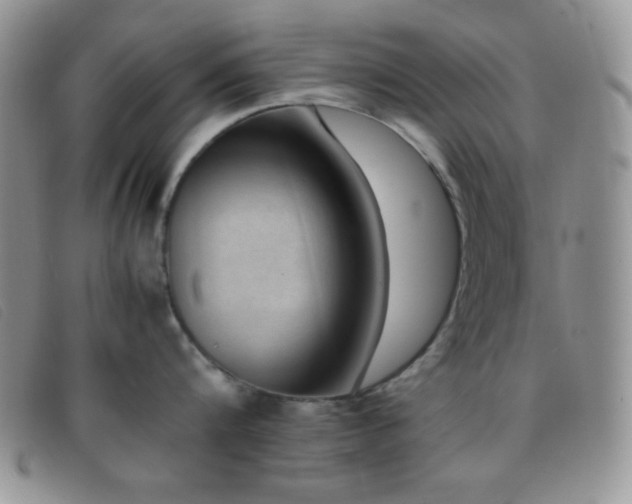 X0000096670816200802051221