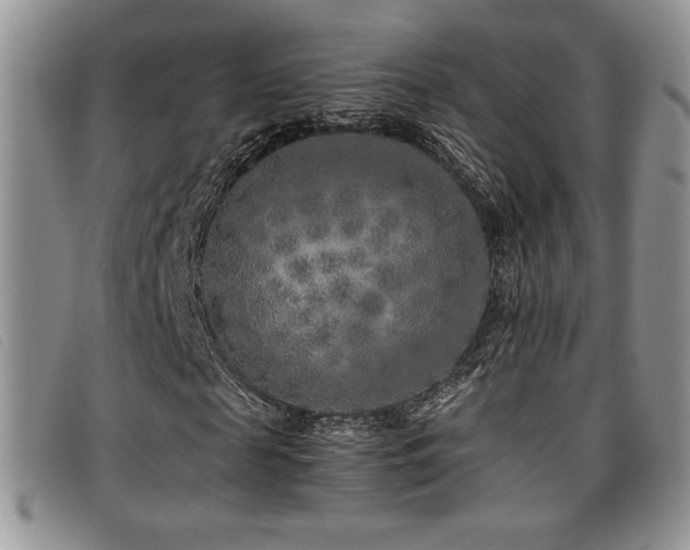X0000096670817200802051220