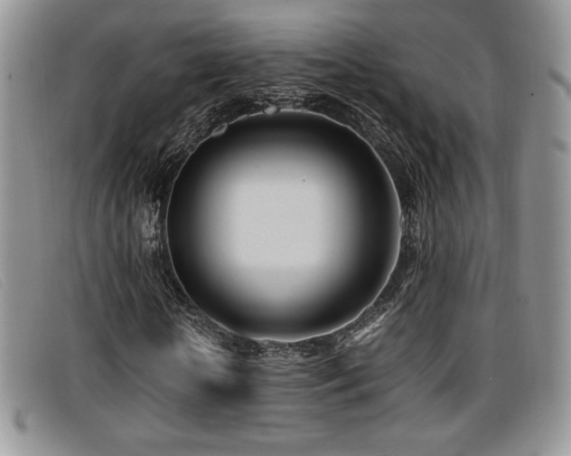X0000096670818200802051220