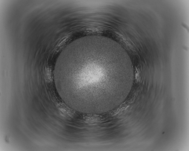 X0000096670819200802051220