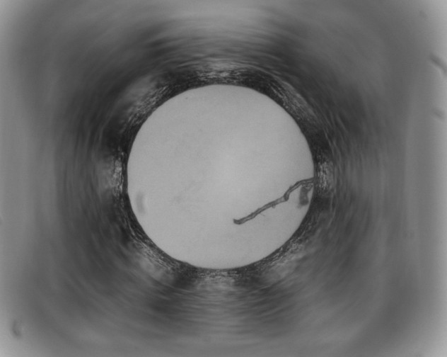 X0000096670820200802051220