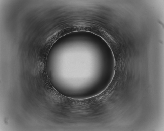 X0000096670821200802051220