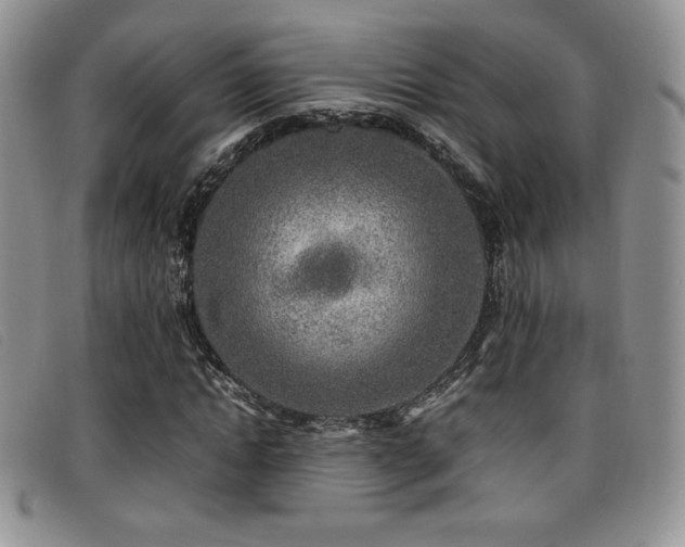 X0000096670822200802051220