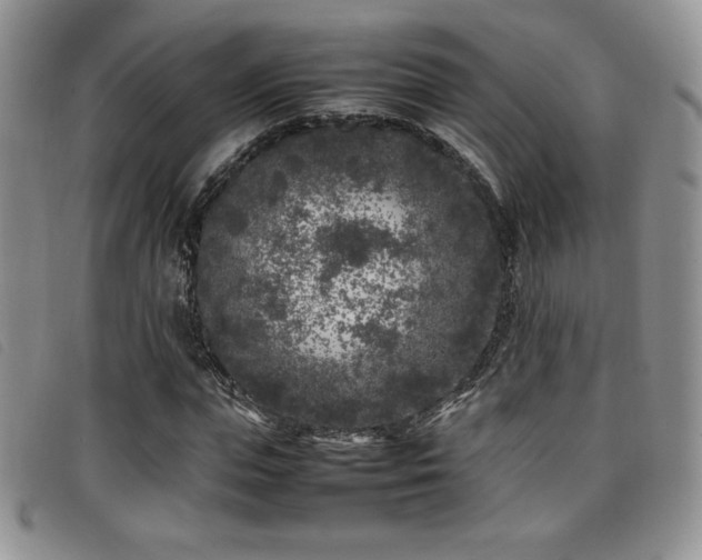 X0000096670823200802051220