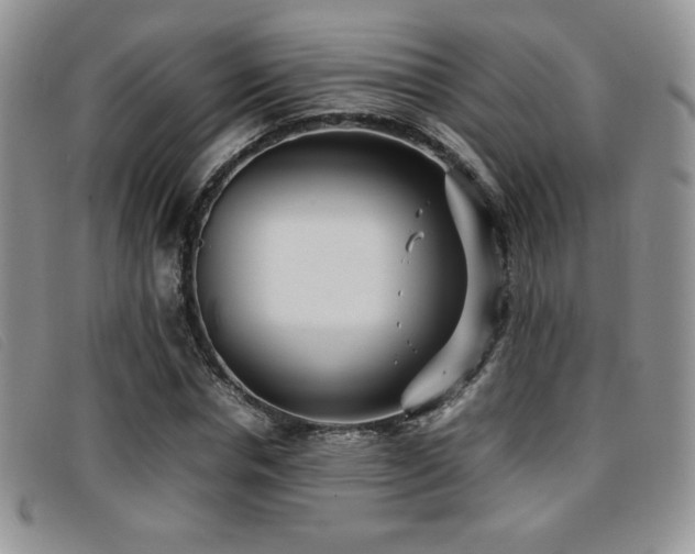 X0000096670826200802051220