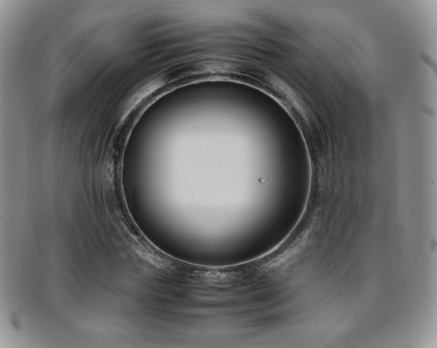 X0000096670827200802051220