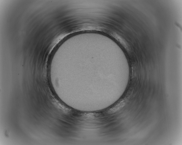 X0000096670828200802051220