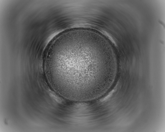 X0000096670830200802051220