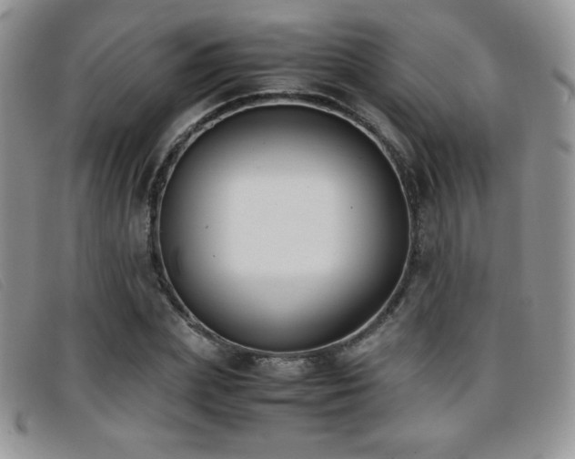 X0000096670831200802051220