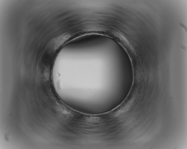 X0000096670833200802051220
