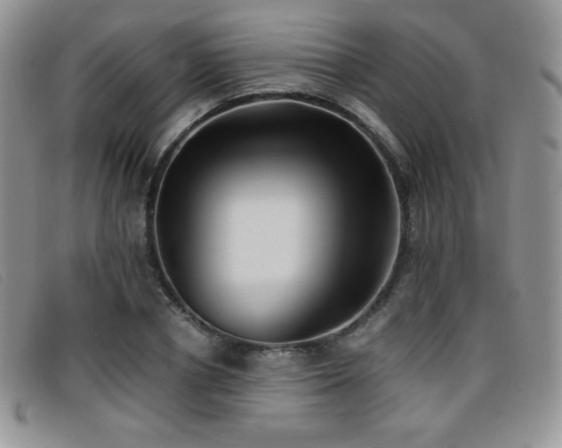 X0000096670834200802051220