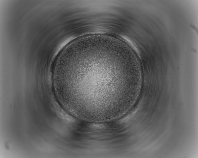 X0000096670835200802051221