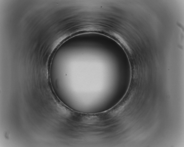 X0000096670837200802051221