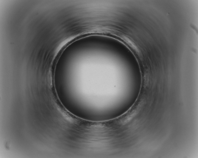 X0000096670838200802051221