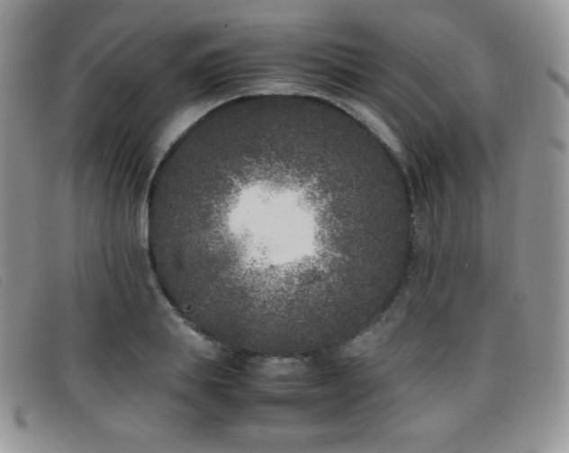 X0000096670839200802051221
