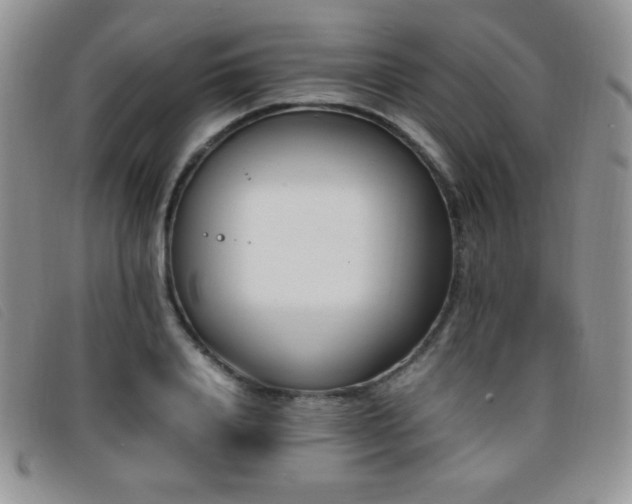 X0000096670840200802051221