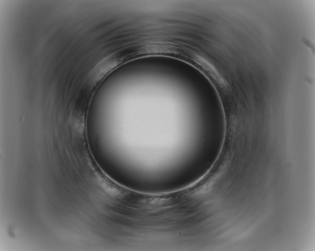 X0000096670841200802051221