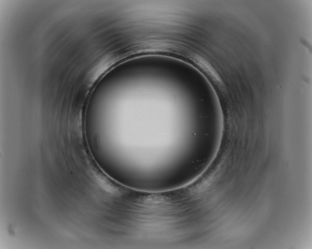 X0000096670842200802051221