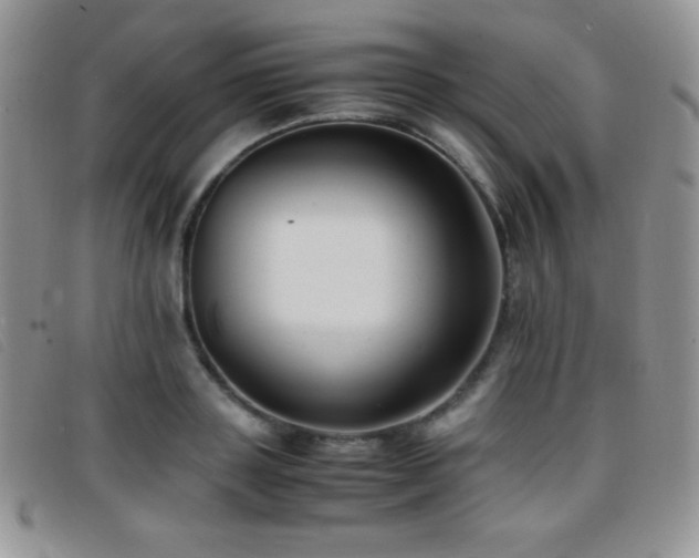 X0000096670843200802051221