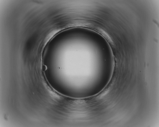 X0000096670844200802051221