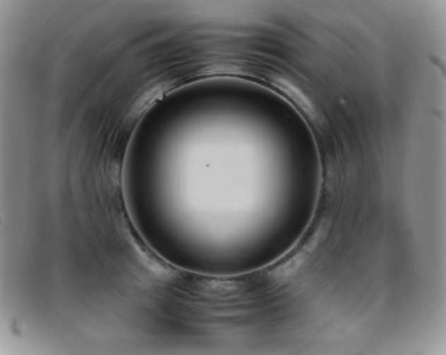 X0000096670849200802051221