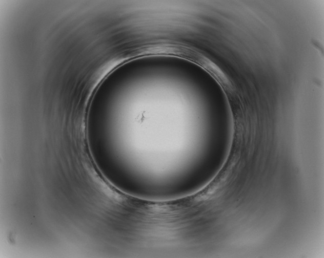 X0000096670852200802051221